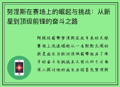 努涅斯在赛场上的崛起与挑战：从新星到顶级前锋的奋斗之路