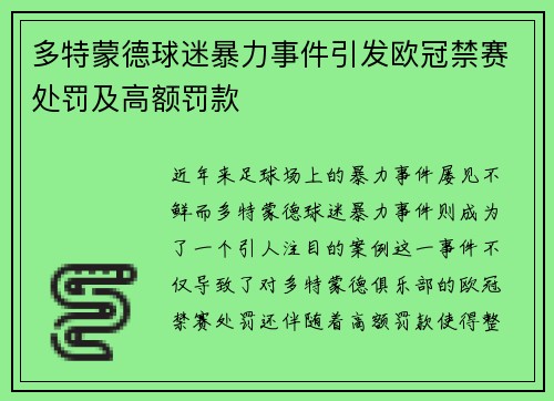 多特蒙德球迷暴力事件引发欧冠禁赛处罚及高额罚款