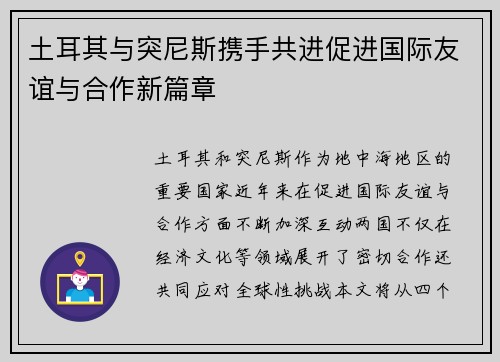 土耳其与突尼斯携手共进促进国际友谊与合作新篇章