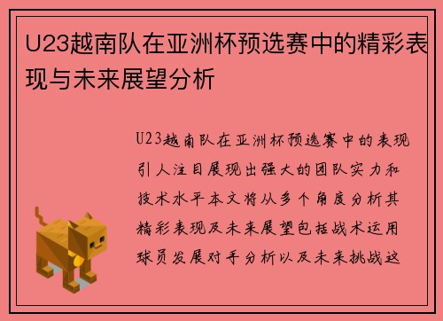 U23越南队在亚洲杯预选赛中的精彩表现与未来展望分析
