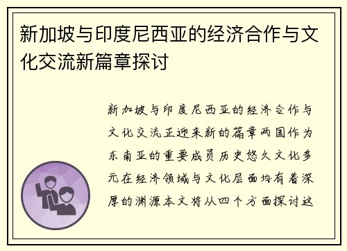 新加坡与印度尼西亚的经济合作与文化交流新篇章探讨