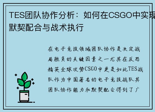 TES团队协作分析：如何在CSGO中实现默契配合与战术执行