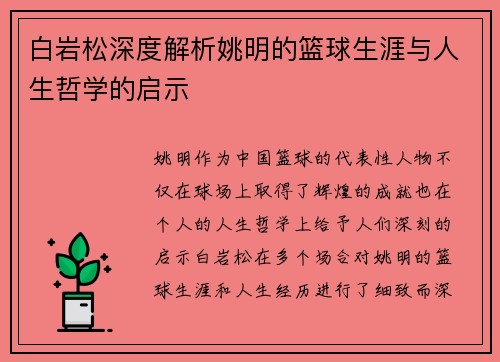 白岩松深度解析姚明的篮球生涯与人生哲学的启示