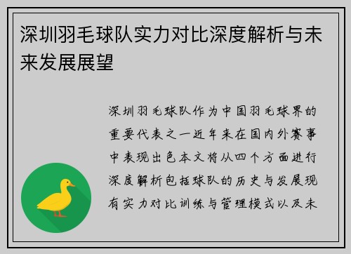 深圳羽毛球队实力对比深度解析与未来发展展望